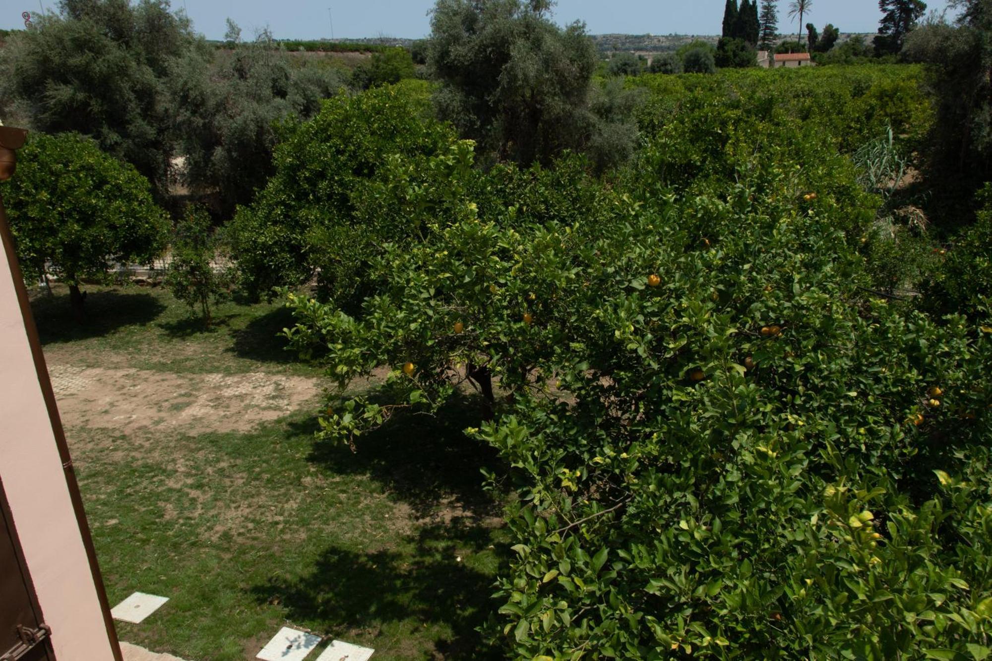 Villa Tatai Country House By Dimore Trinacria Μπελβεντέρε Εξωτερικό φωτογραφία
